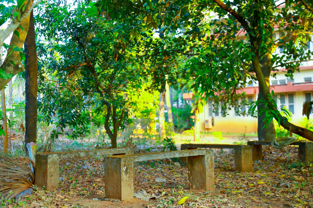 JMCON Greenery