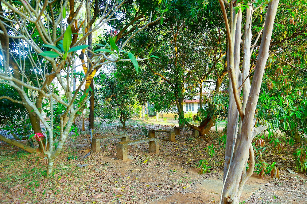 JMCON Greenery